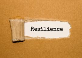 resilience